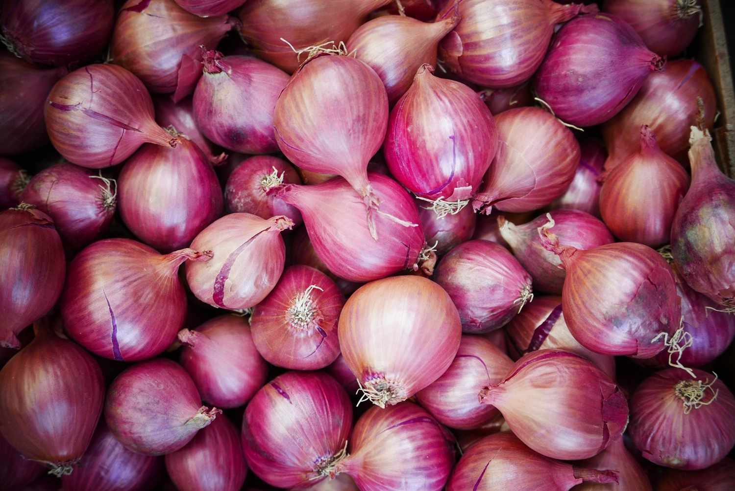 Full Frame Shot Of Onions In Market Stall