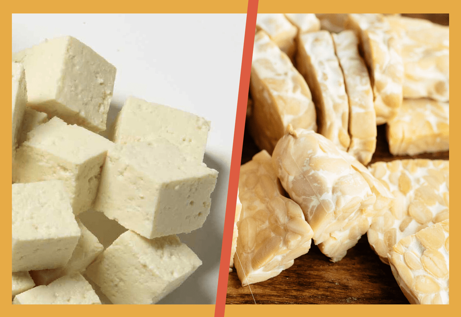 Tofu and tempeh side by side