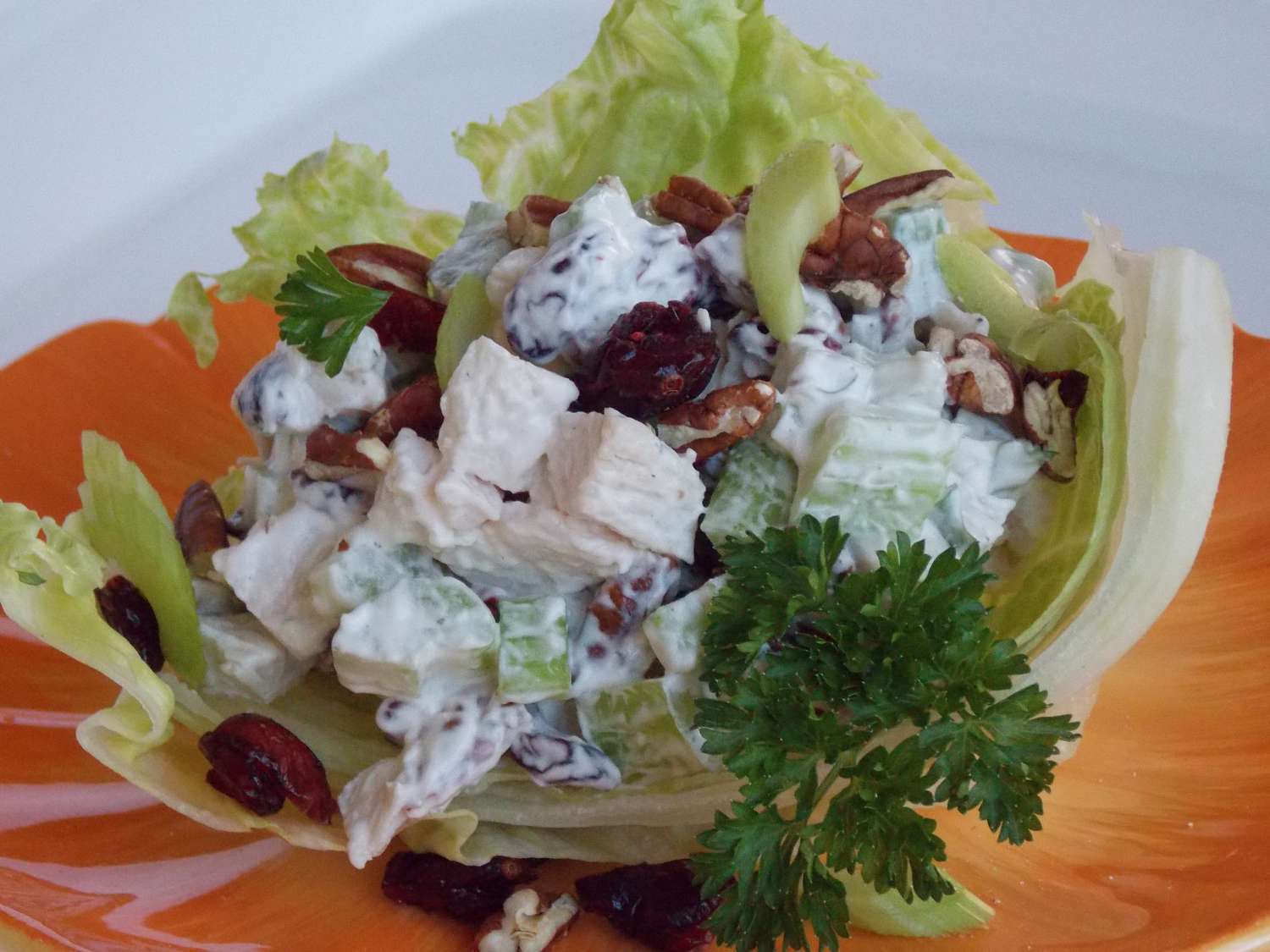 Turkey salad with walnuts and dried cranberries in a glass dish