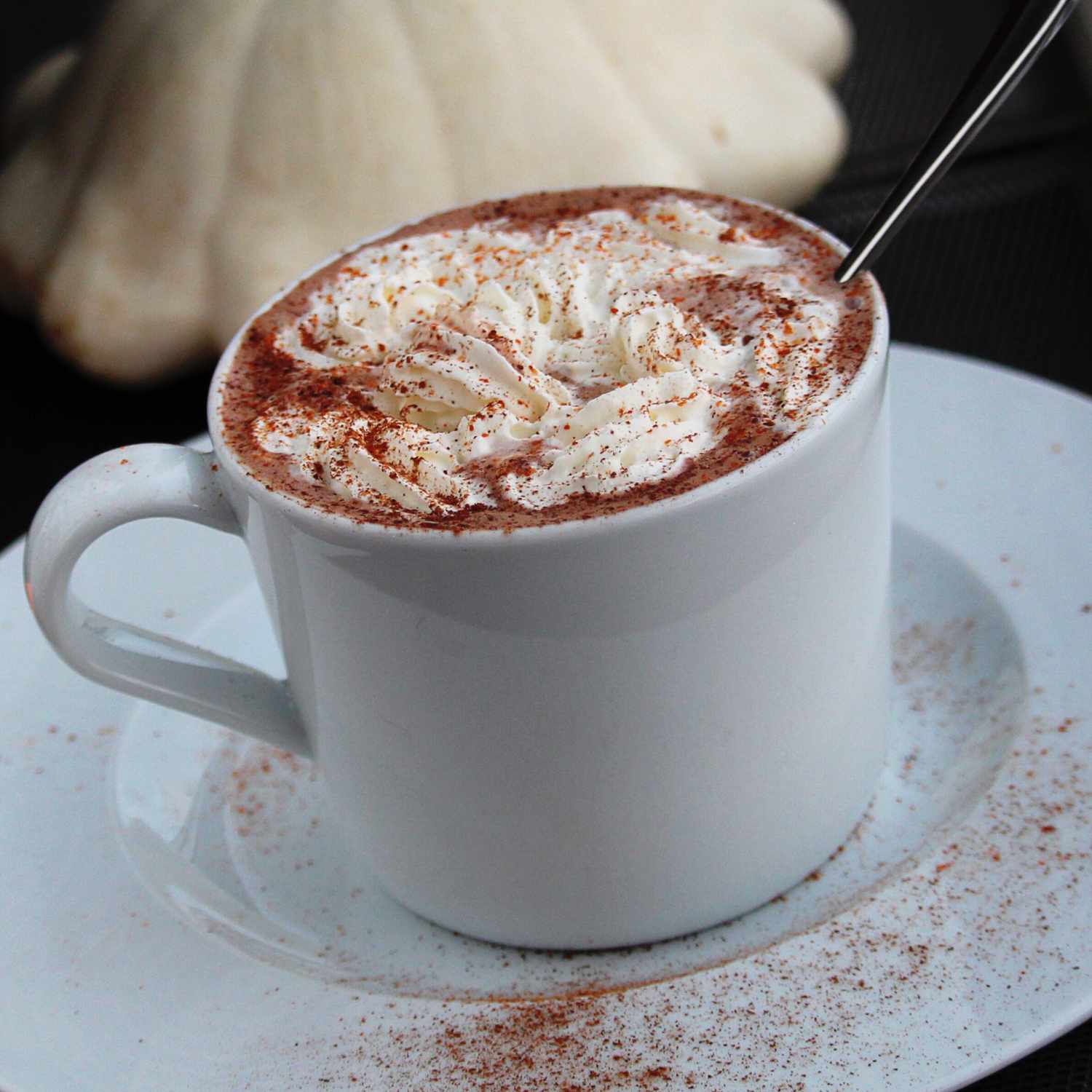 a mug of whipped cream and cinnamon-topped hot chocolate on a white plate