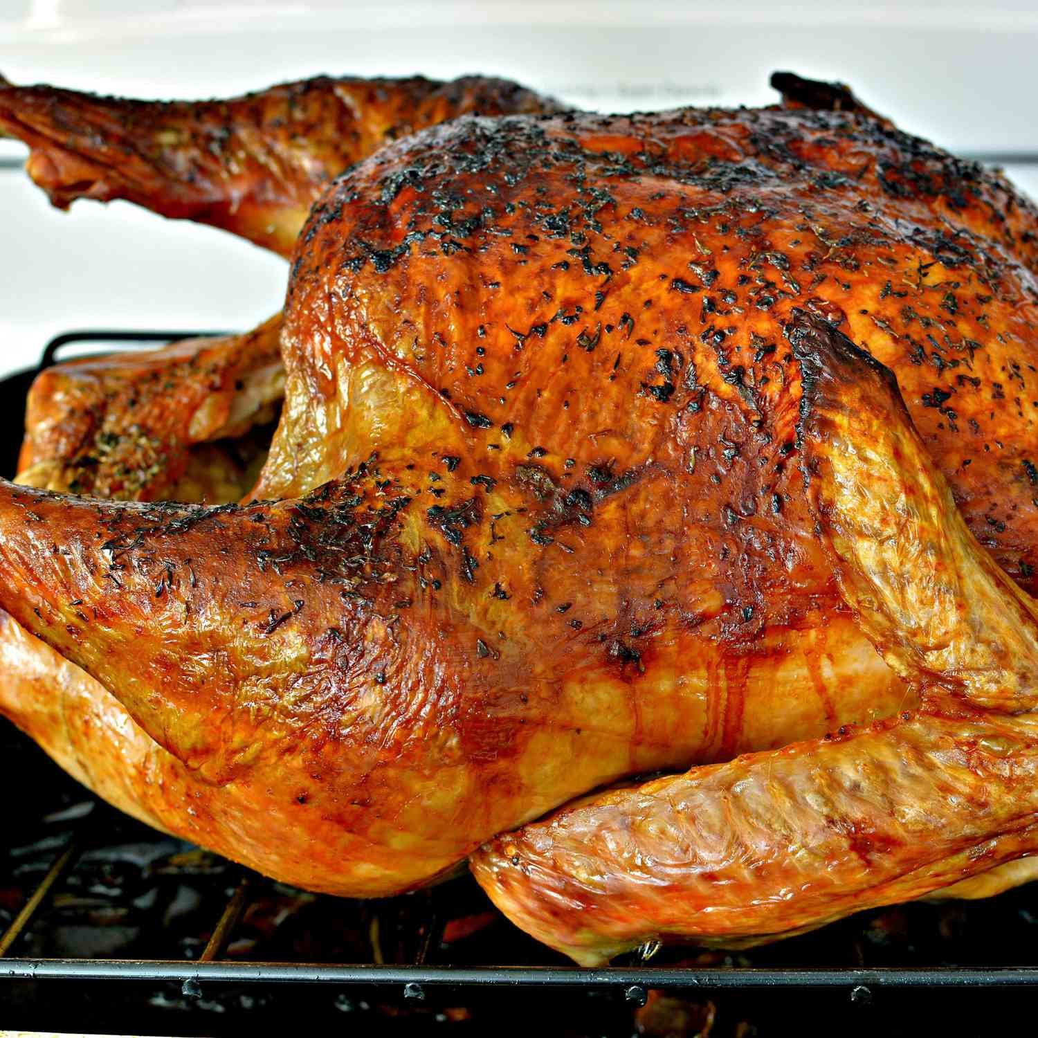 roasted turkey on a rack