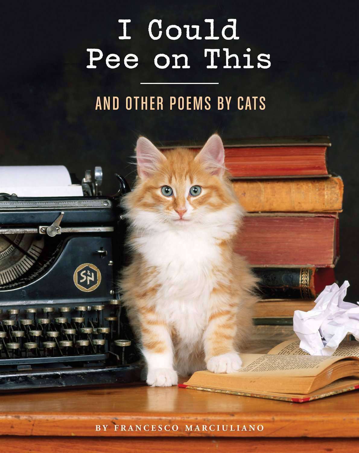 Cover of book with cat on front