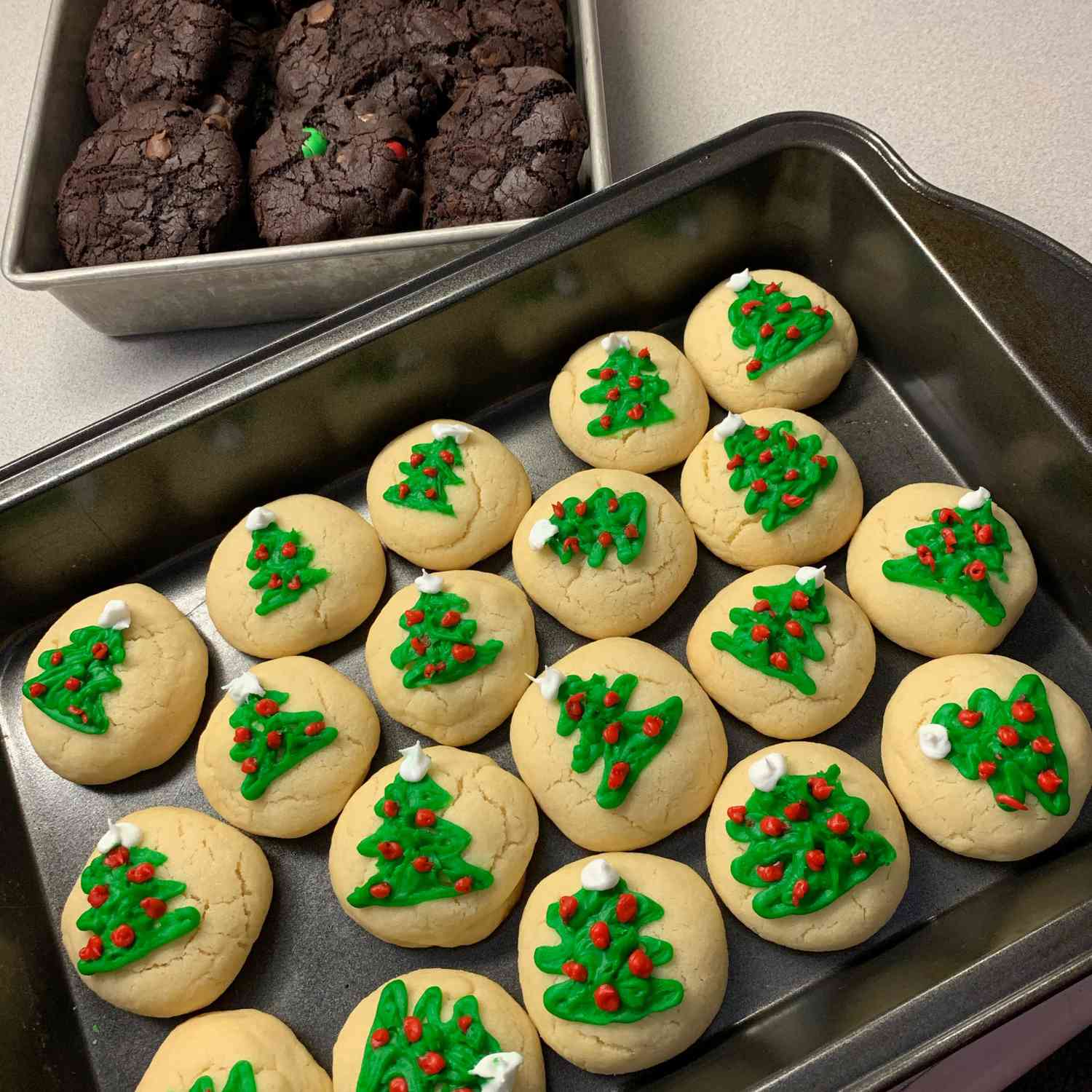 round cookies decorated with piped green Christmas trees