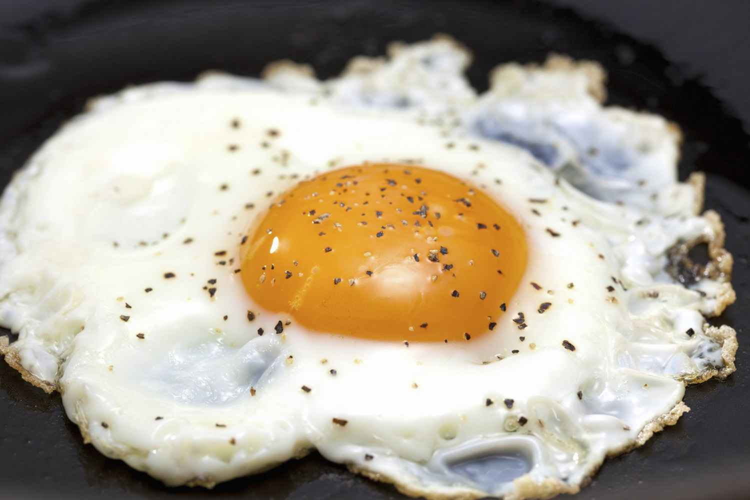 fried egg close up