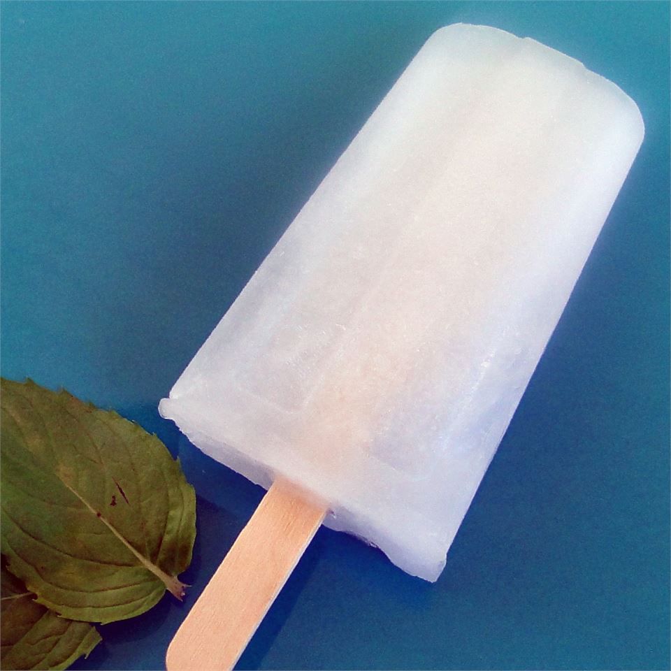 Old Fashioned Vanilla Ice Pops (a.k.a. Pop Pops)