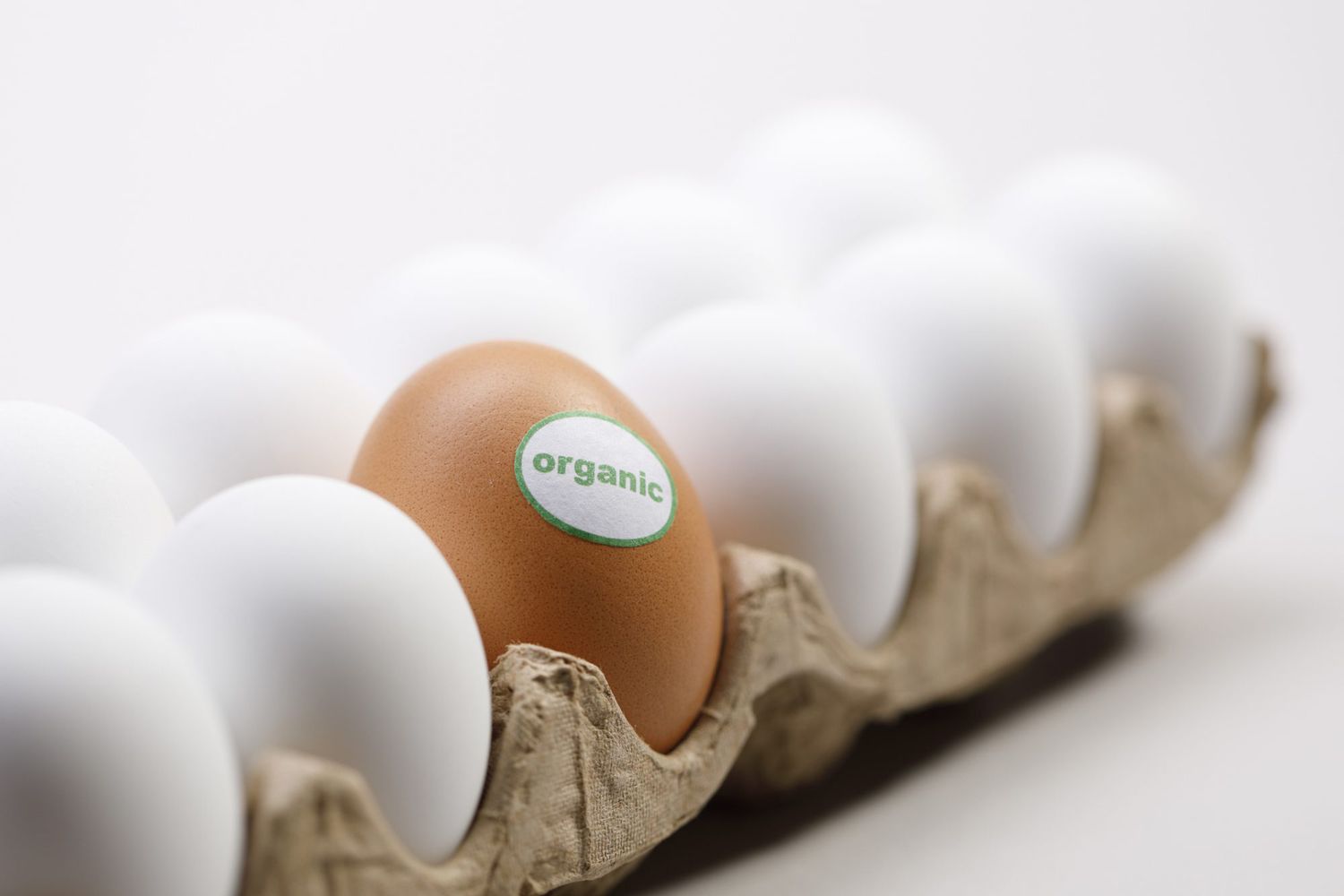 Fresh Organic Farm Egg