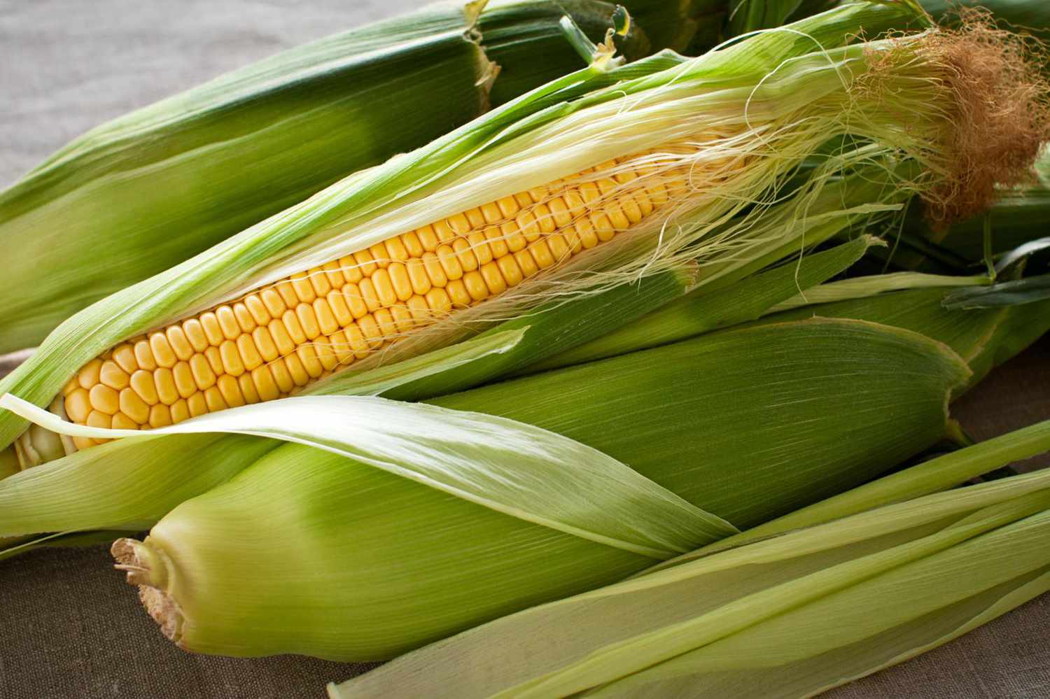 How To Pick the Best Corn So Every Ear Is a Winner