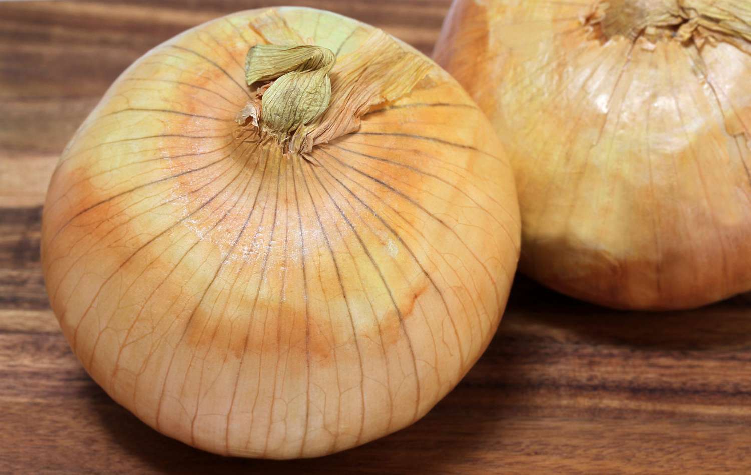 Macro of a Vidalia Onion or sweet onion, selective focus on top.