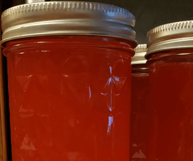 <p>"Don't throw away the cores and peelings from your apples after you bake that pie," says recipe creator Graden. "Use them to make a very delicious apple jelly."</p>
                          