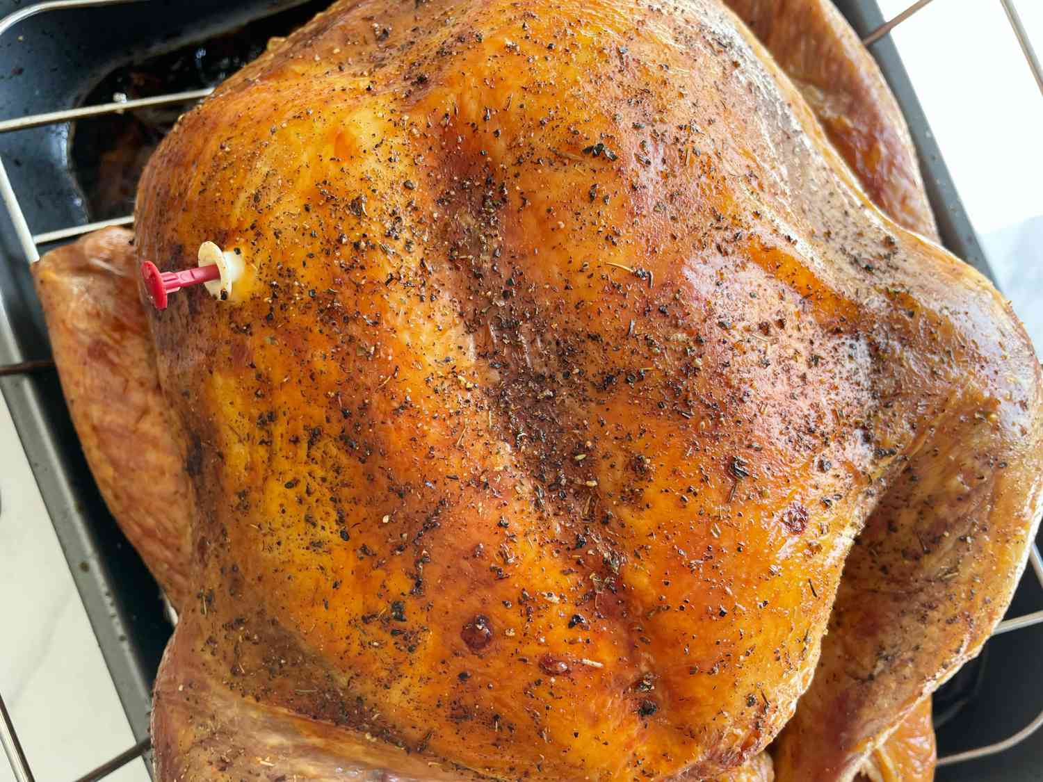 Golden Brown Roasted Turkey