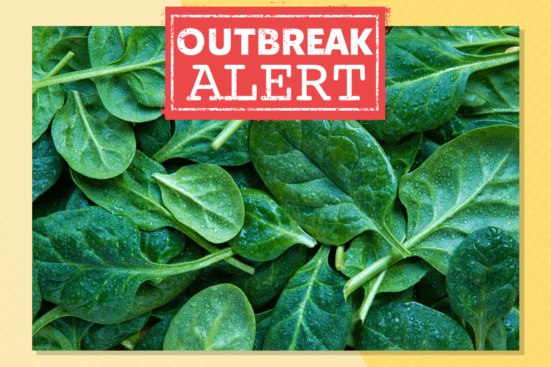spinach outbreak alert