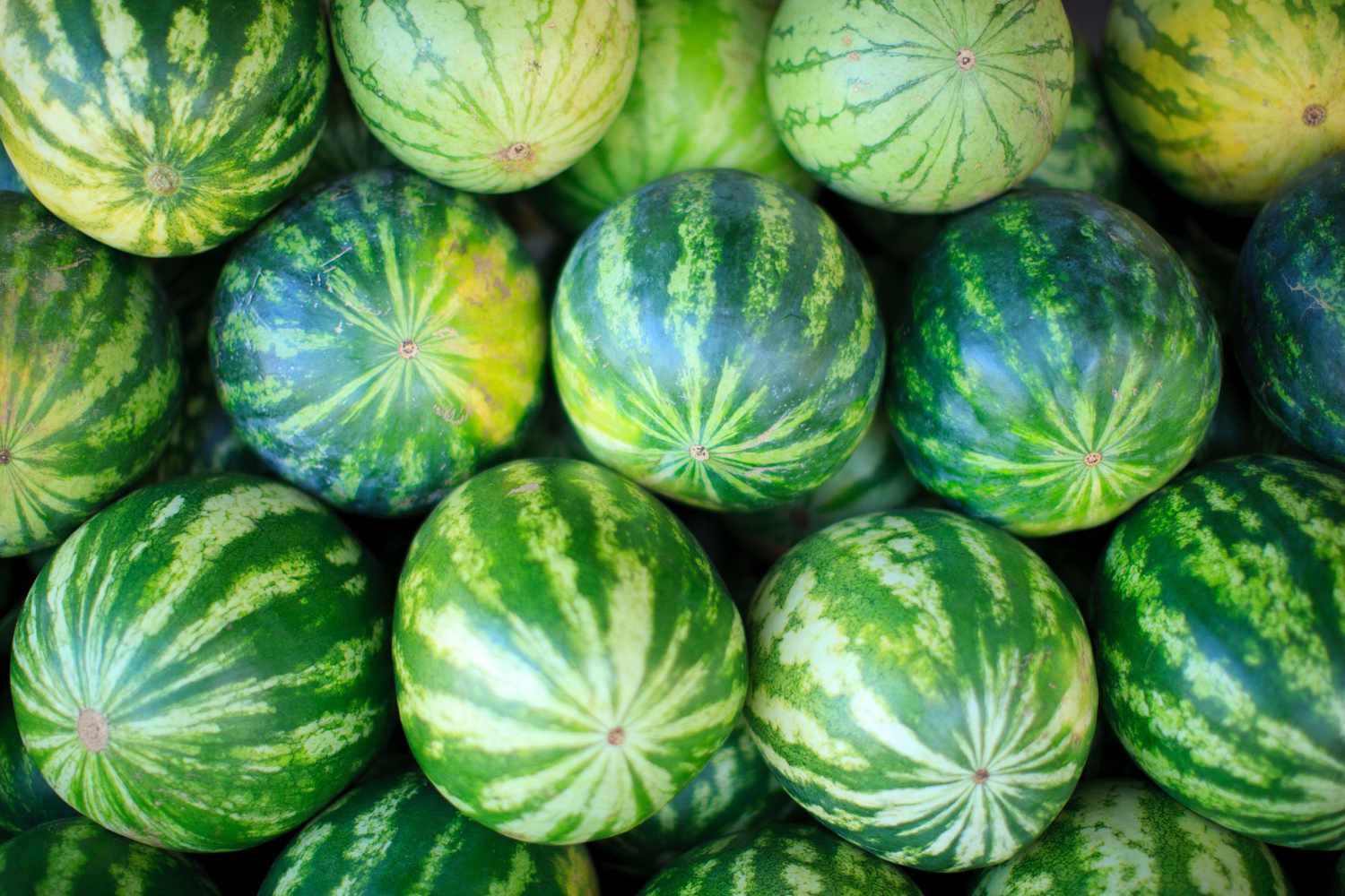 watermelons stacked on top of each other