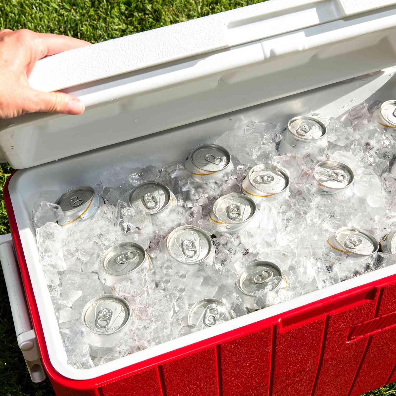 Red cooler filled with beverage cans