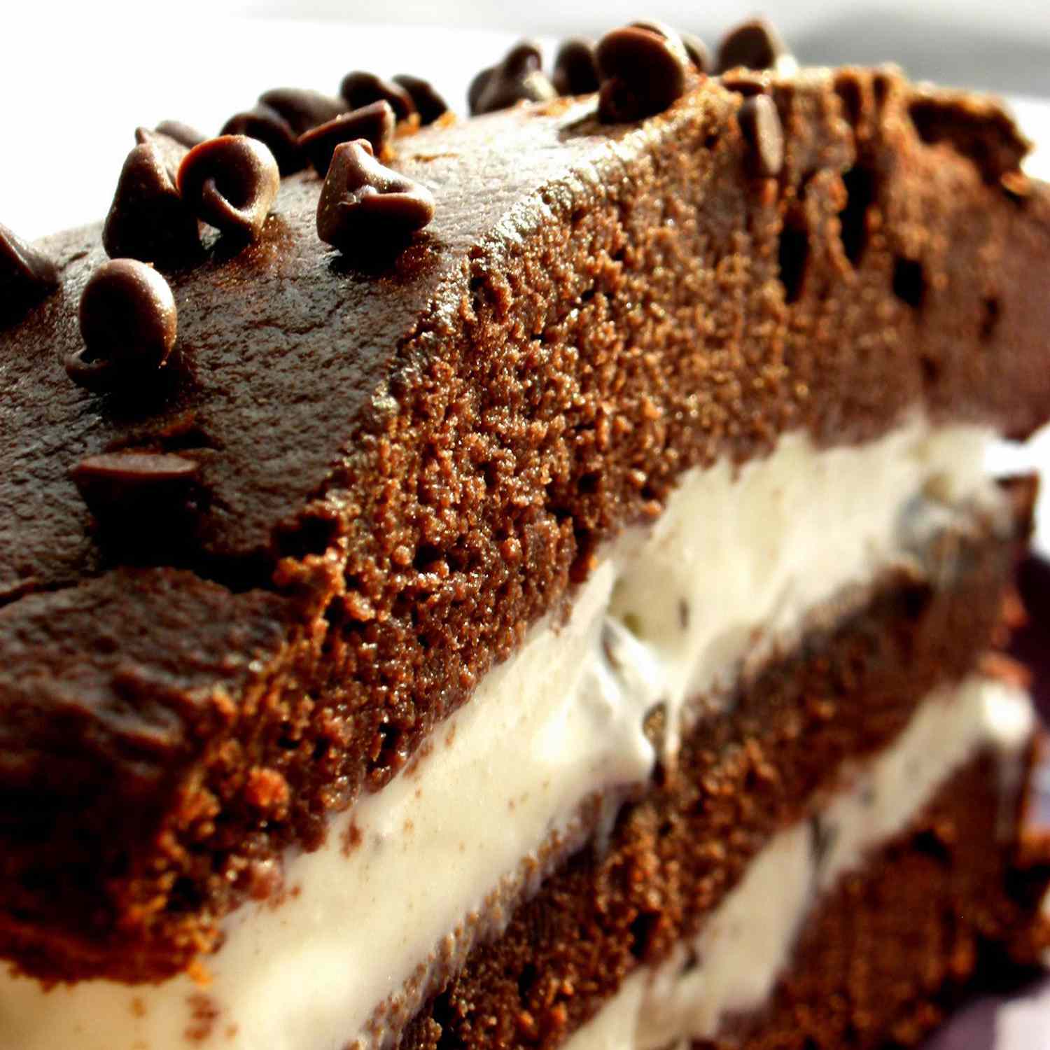 close up view of a slice of chocolate and vanilla ice cream cake