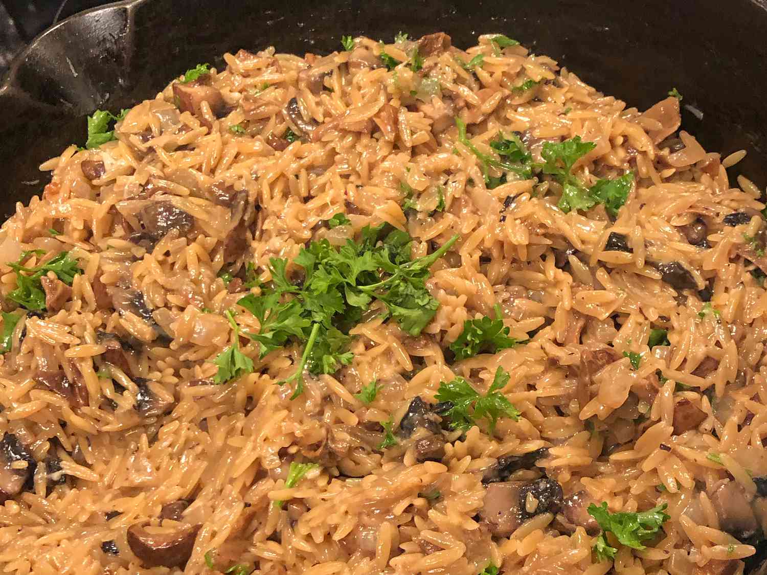 close up view of Mushroom Orzo garnished with fresh herbs in a pan
