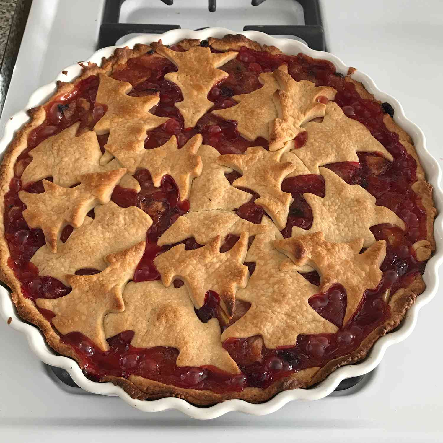 whole buttery cranberry pie decorated with pastry cutouts