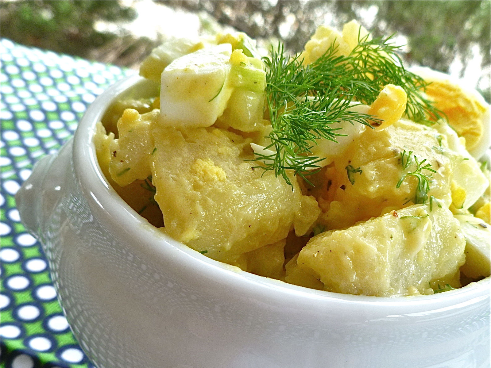 close up view of Potato Salad garnished with fresh dill in a bowl