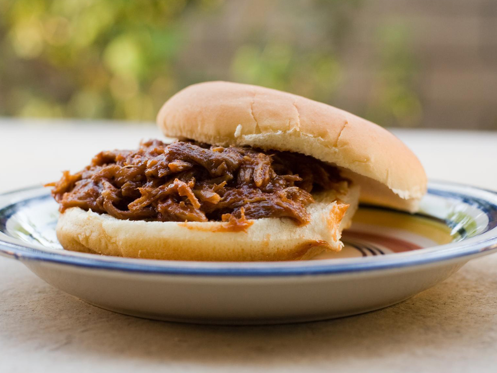 close up view of a Southern Pulled Pork sandwich on a plate
