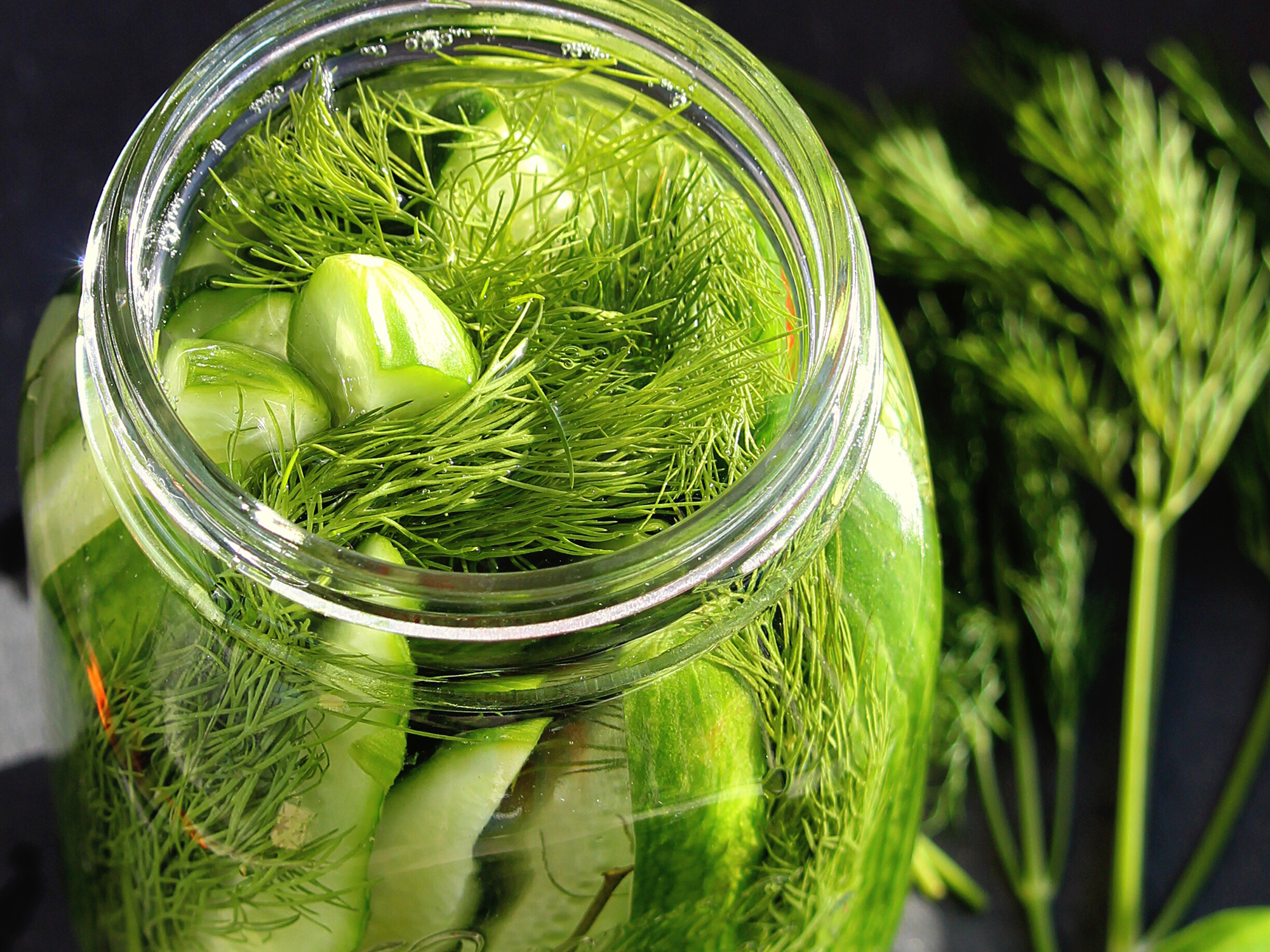 close up view of Fermented Kosher-Style Dill Pickles with dill in a jar, surrounded by dill