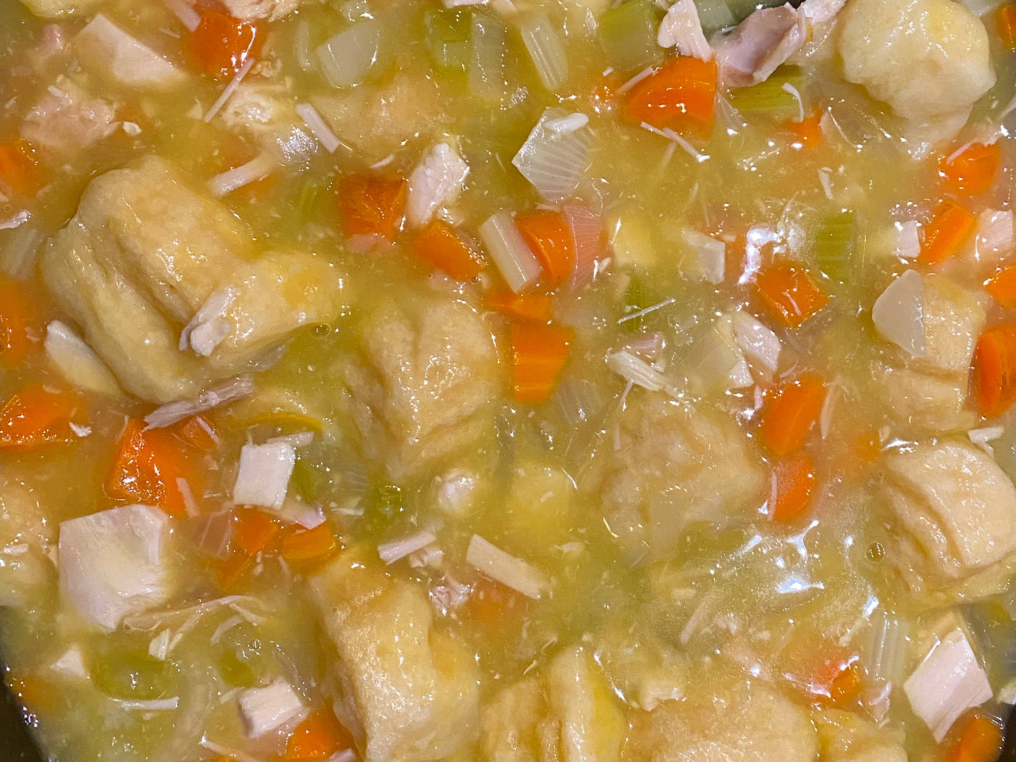 close up view of Turkey and Dumplings with carrots
