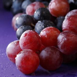 grapes_on_purple-308.jpg