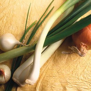 Tips for Storing Onions