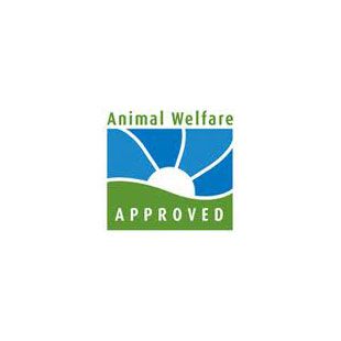 Antibiotic-Free Label to Look For: Animal Welfare Approved