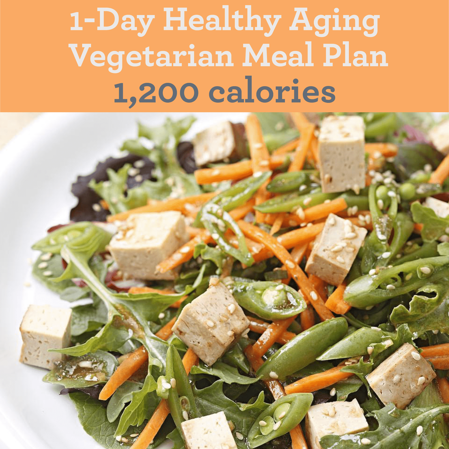 1-Day Healthy Aging Vegetarian Meal Plan 1,200 Calories