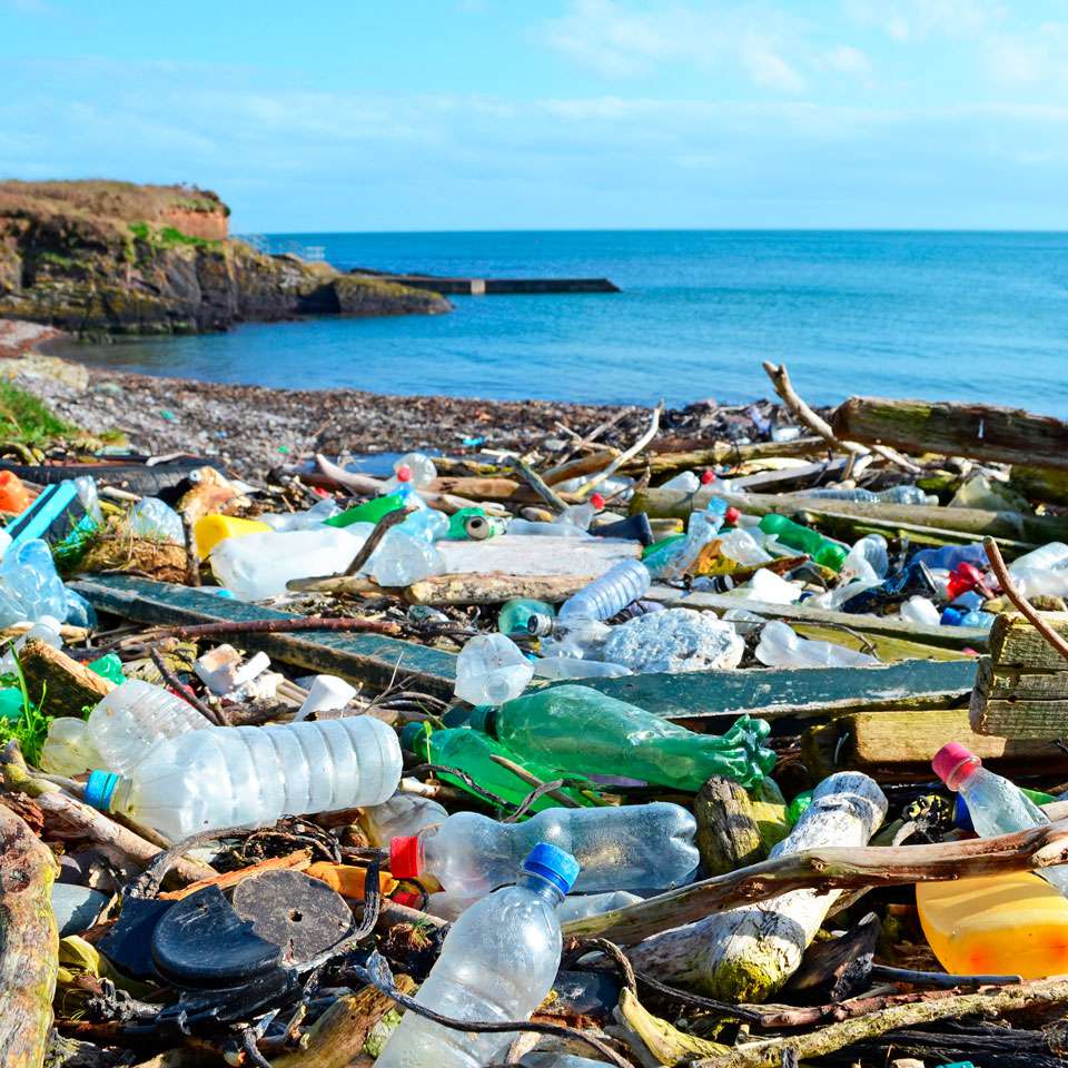 The Effect of Plastics on Your Health and the Environment