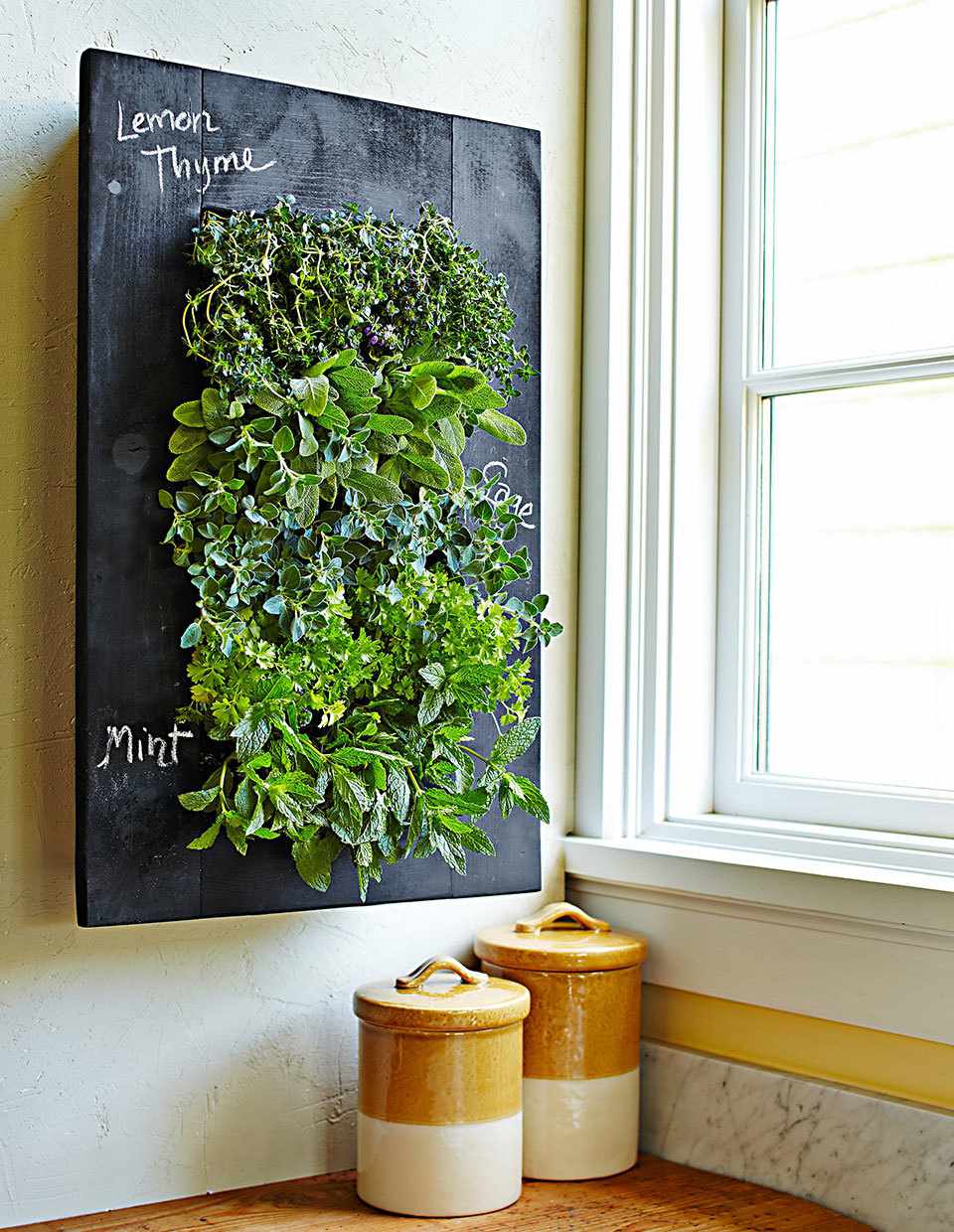 How to Plant an Indoor Herb Garden   EatingWell