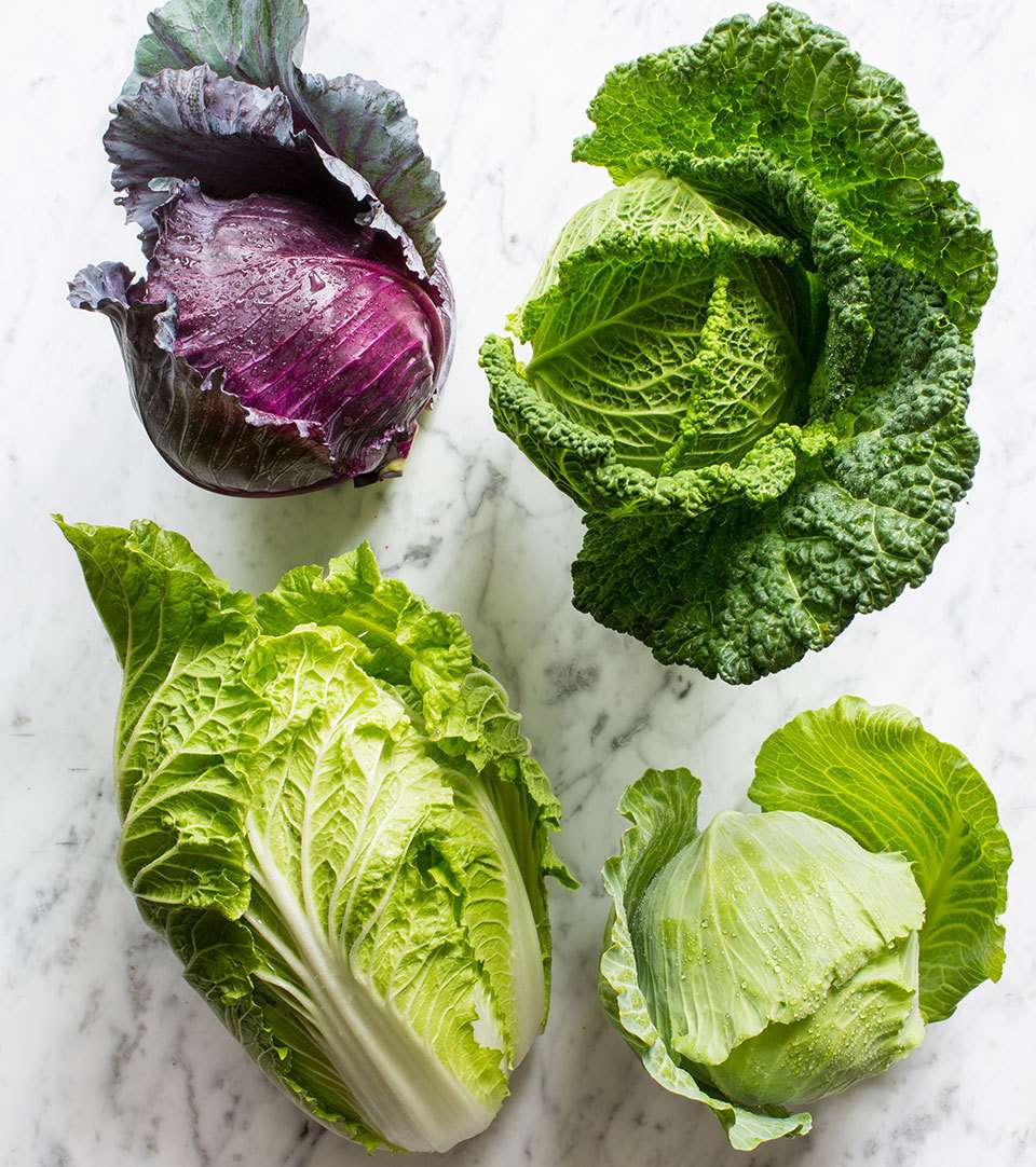 cabbage varieties