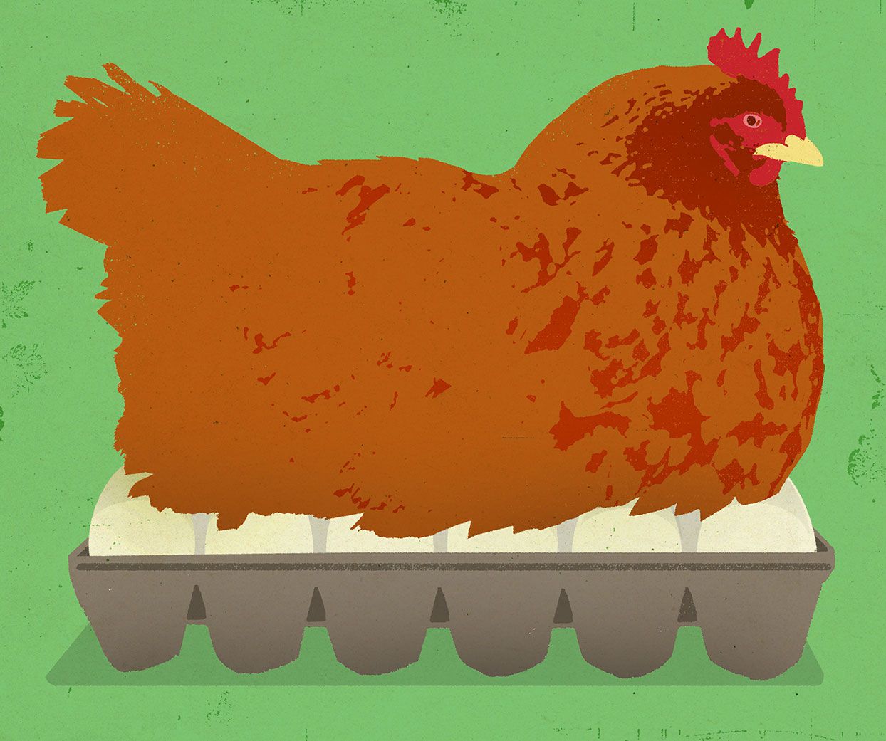Illustration of a hen sitting on a crate of eggs
