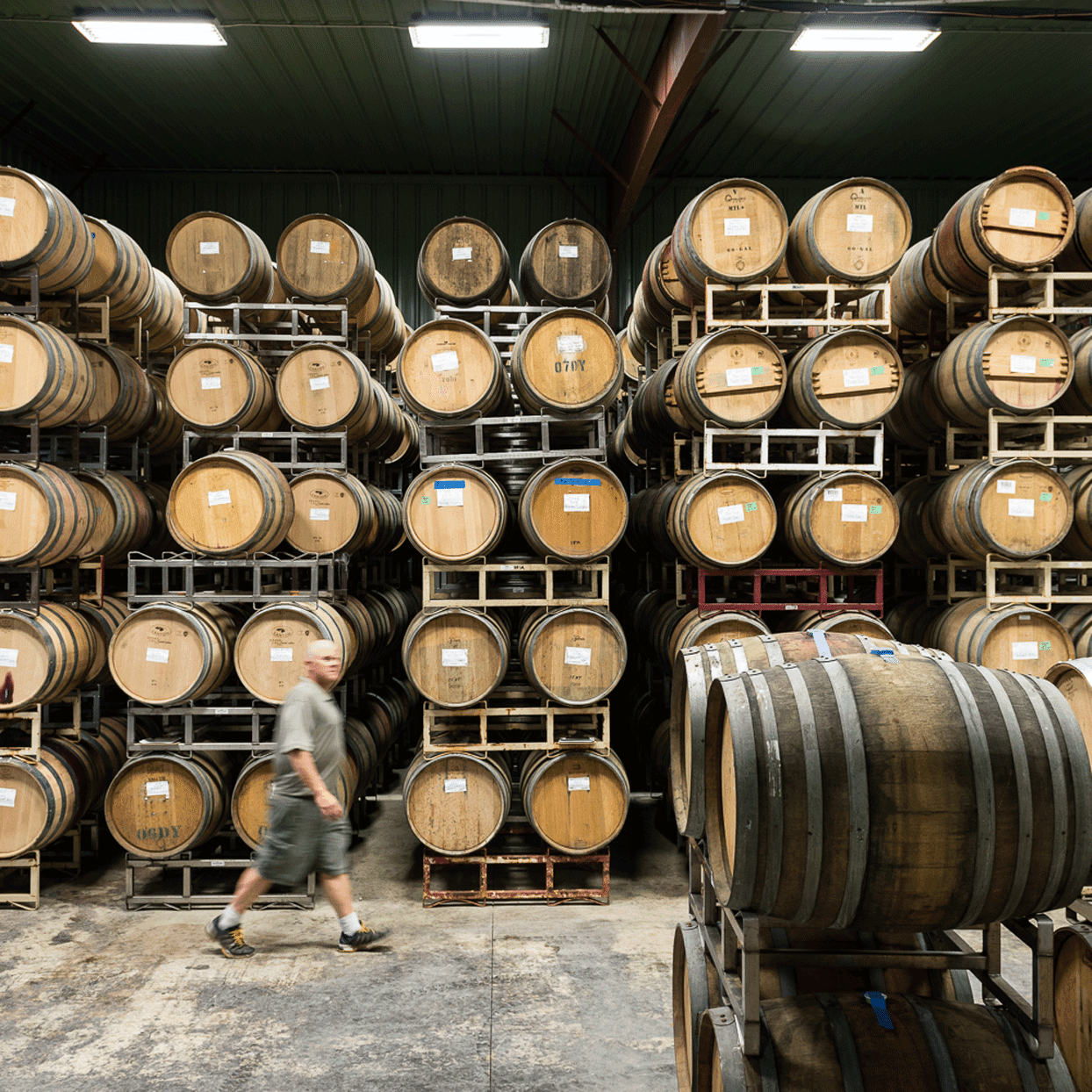 Wine barrels stacked on racks