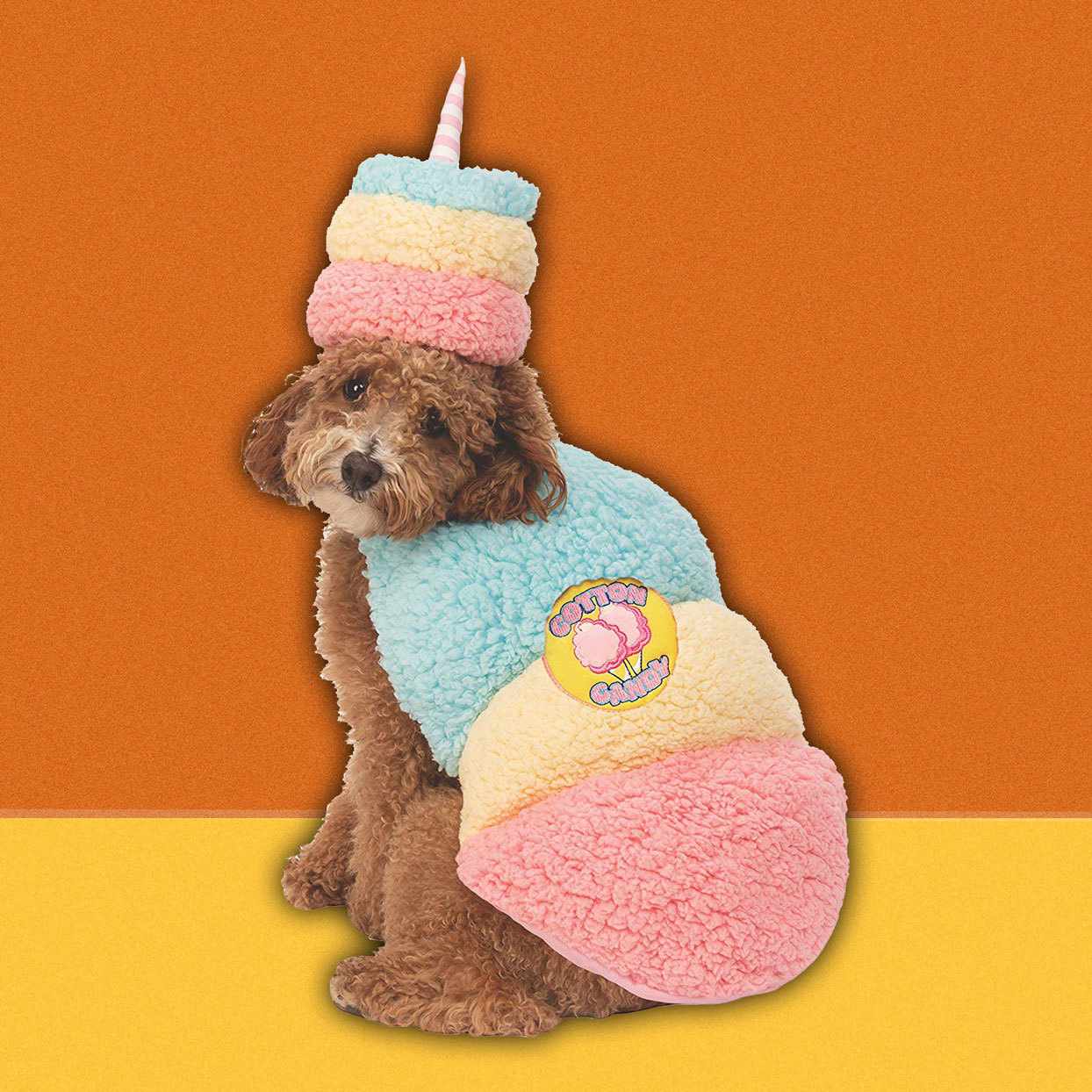 dog wearing cotton candy costume