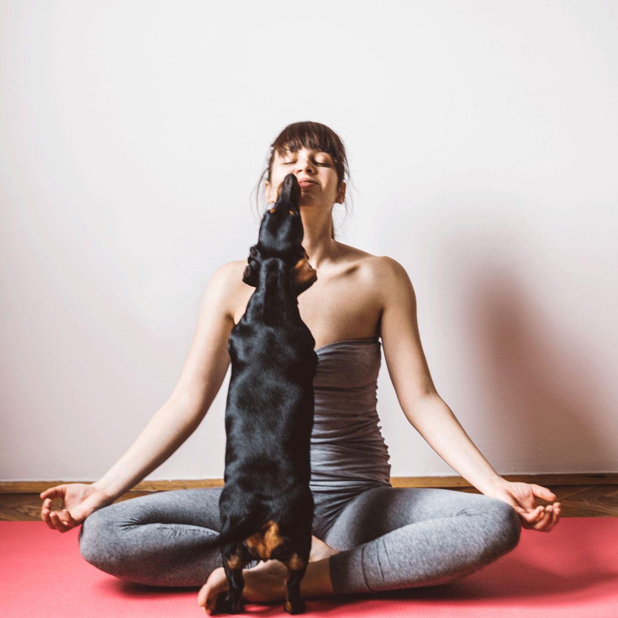 woman in lotus yoga position with small dog jumping up to give her face kisses