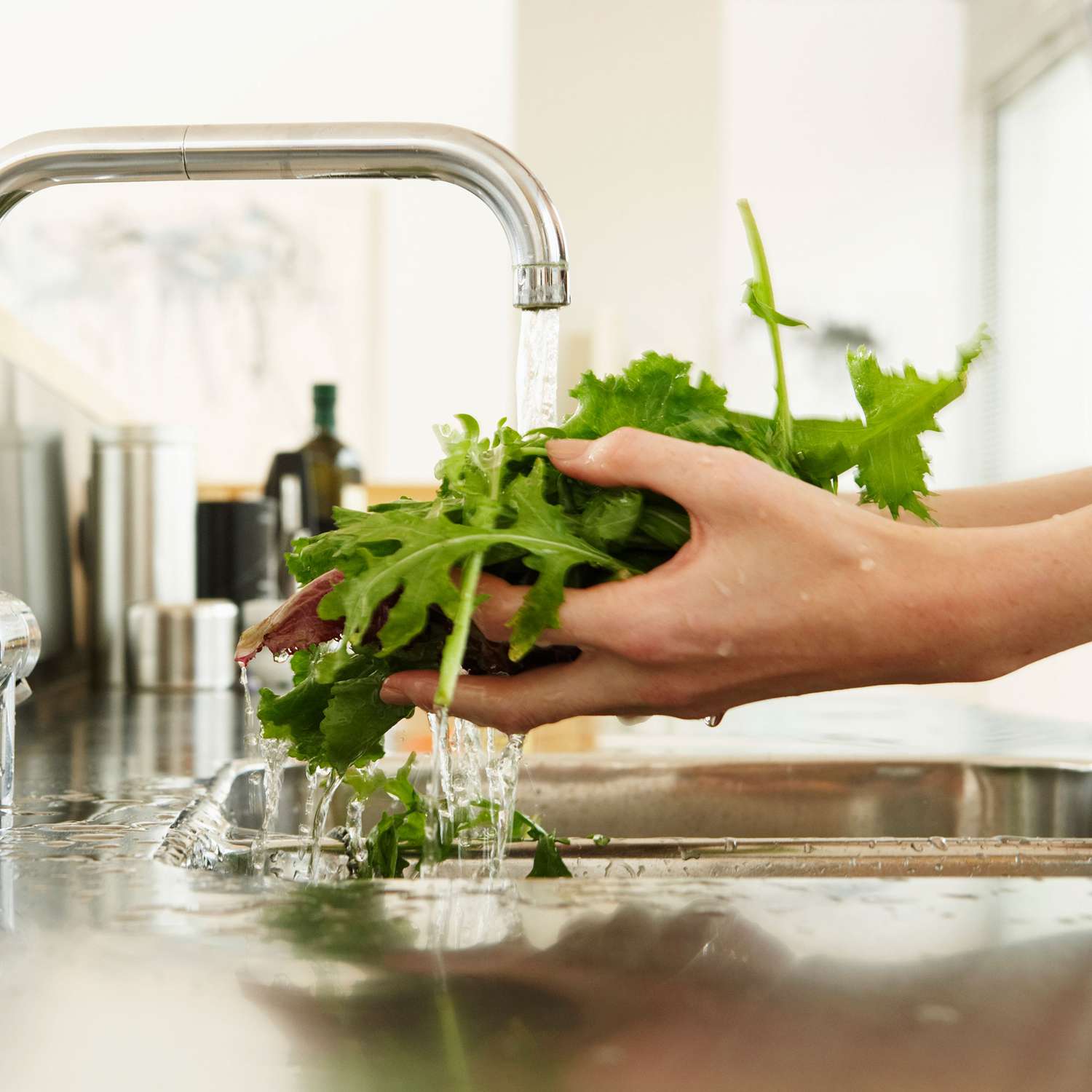 hands holding salad greens under a running kitchen faucet