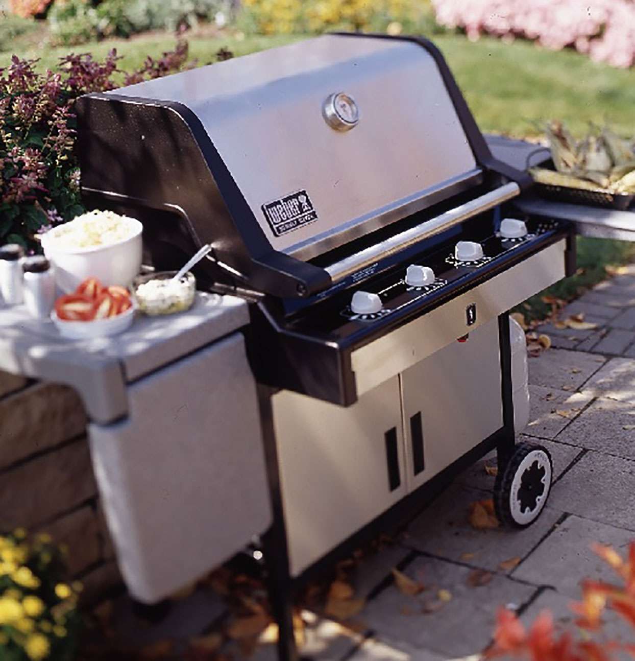 Gas-Grill