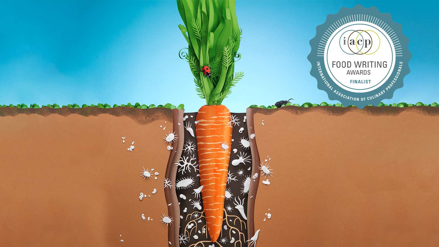 An illustration of a carrot in in the ground showing the roots and bugs living around it