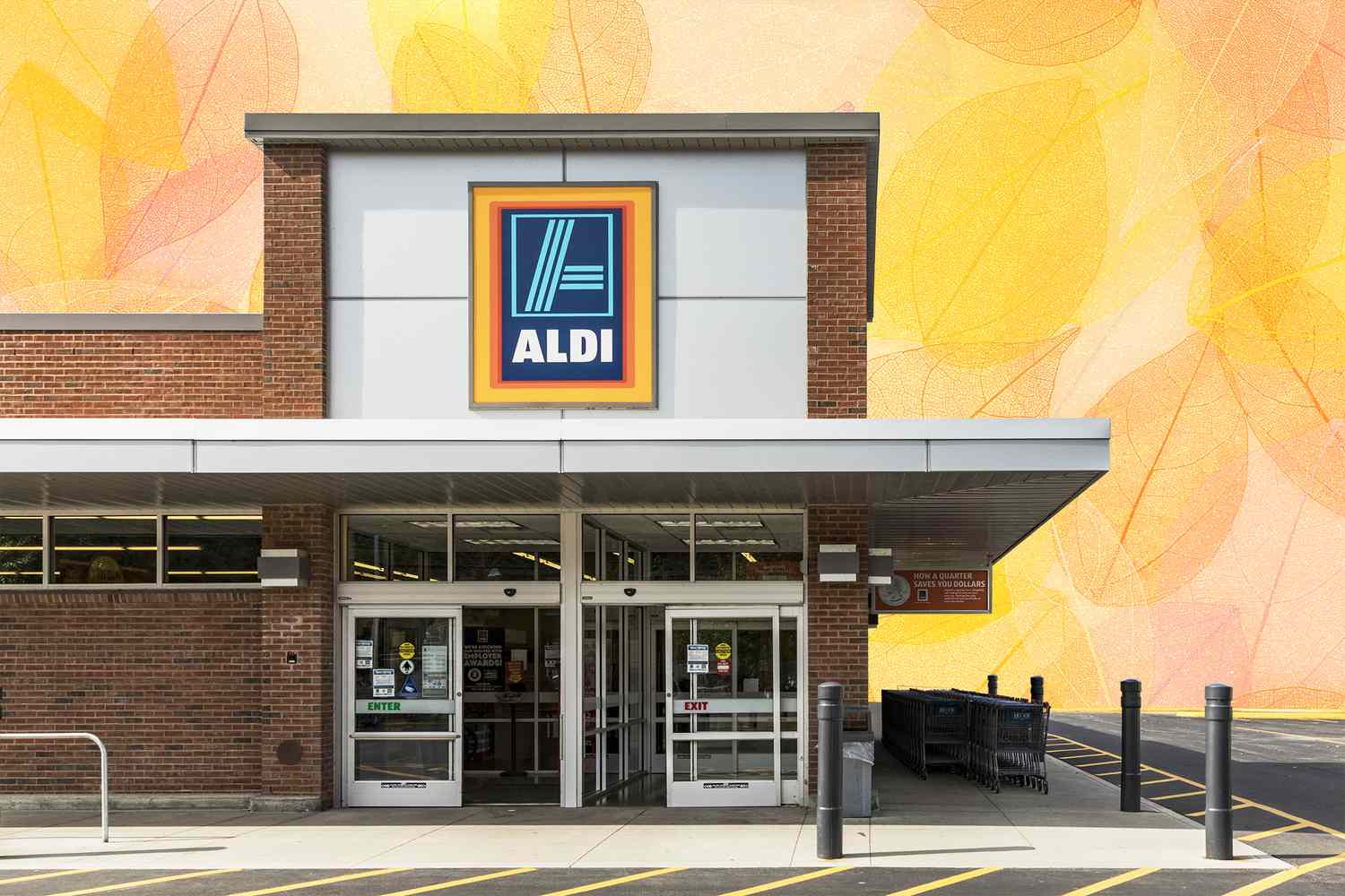 shop of the grocery store Aldi in Brattleboro with fall leaves in the background