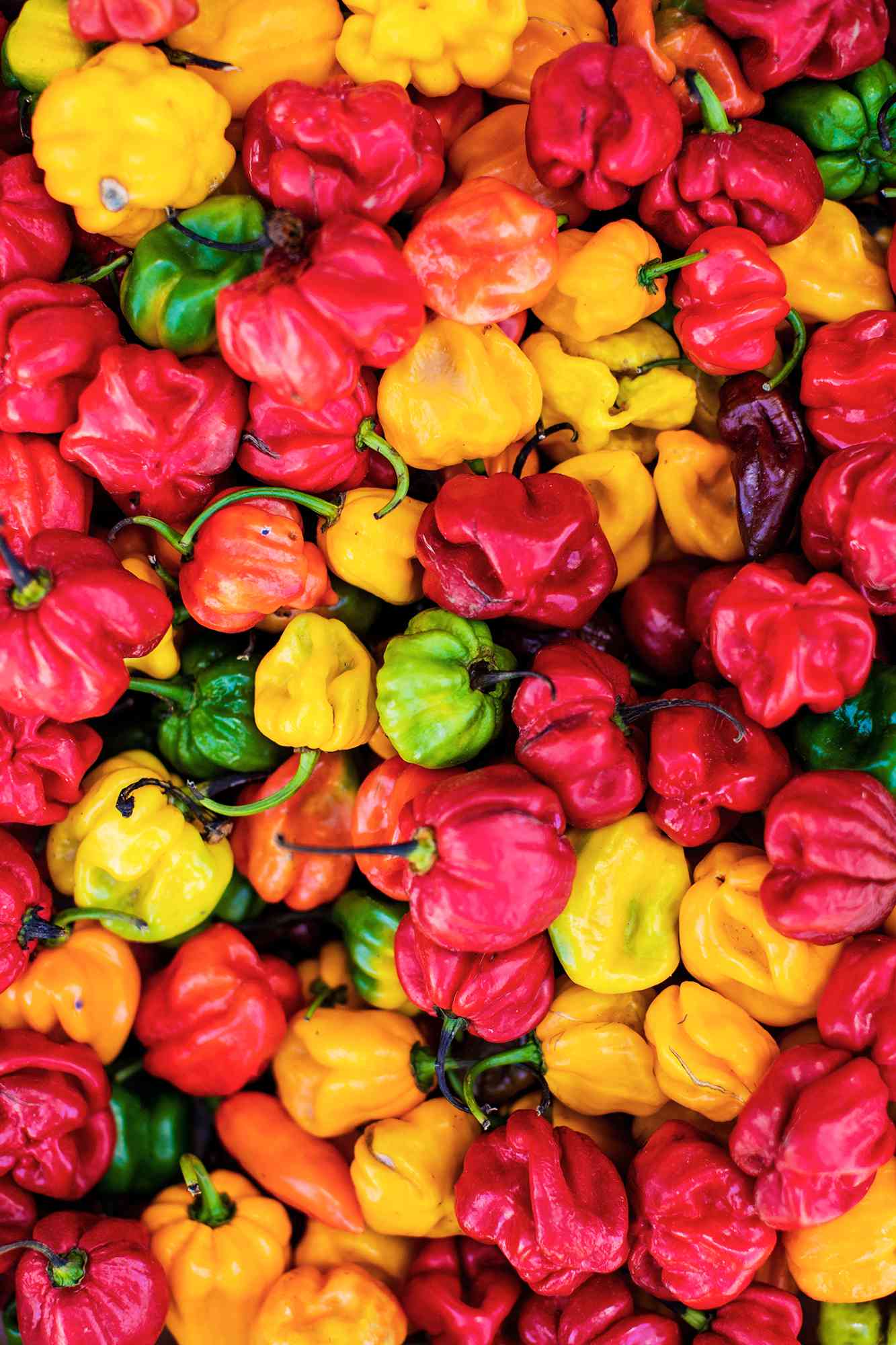 Close-up on a bunch of peppers