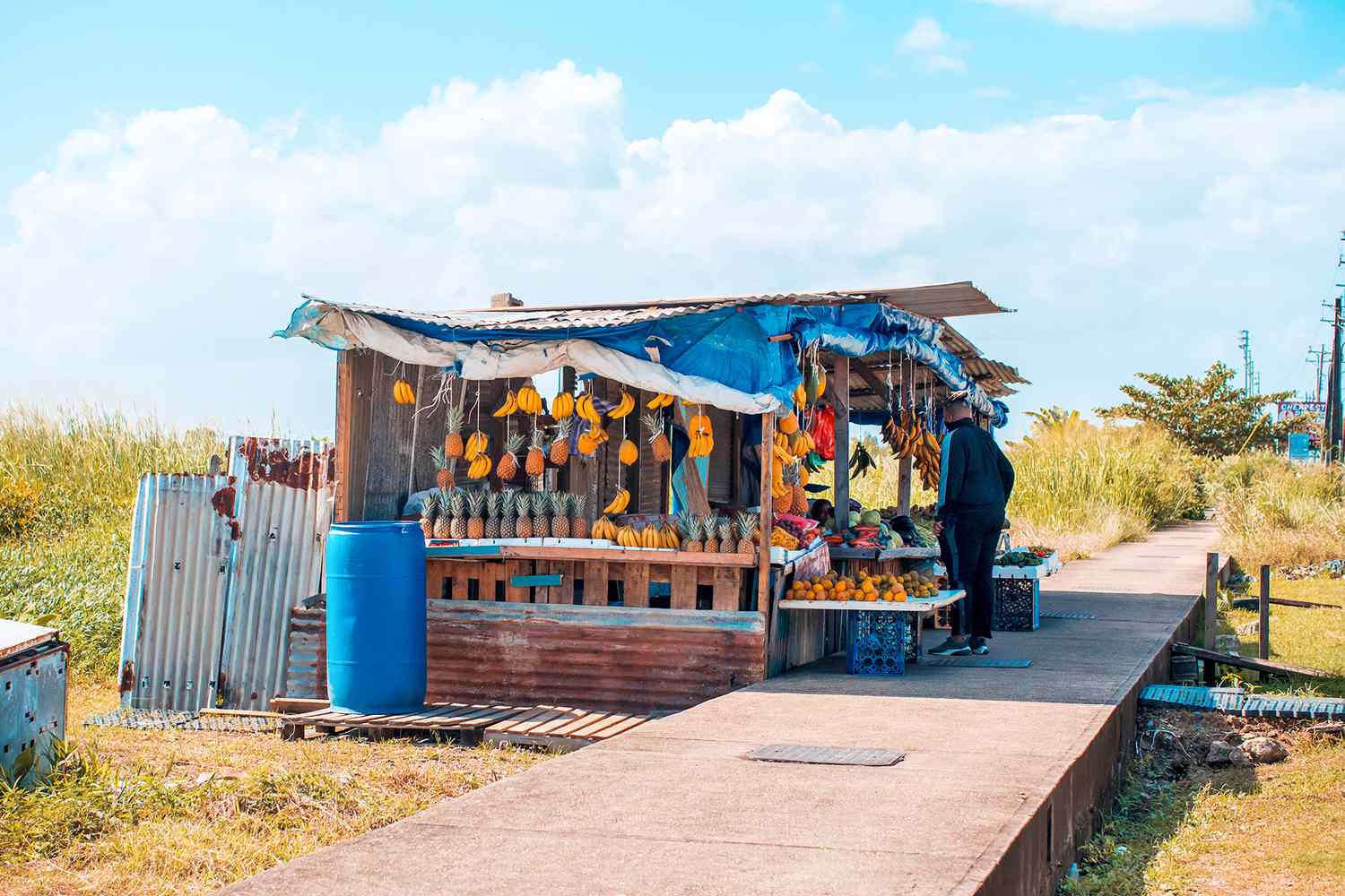 fruit stand in a rural setting