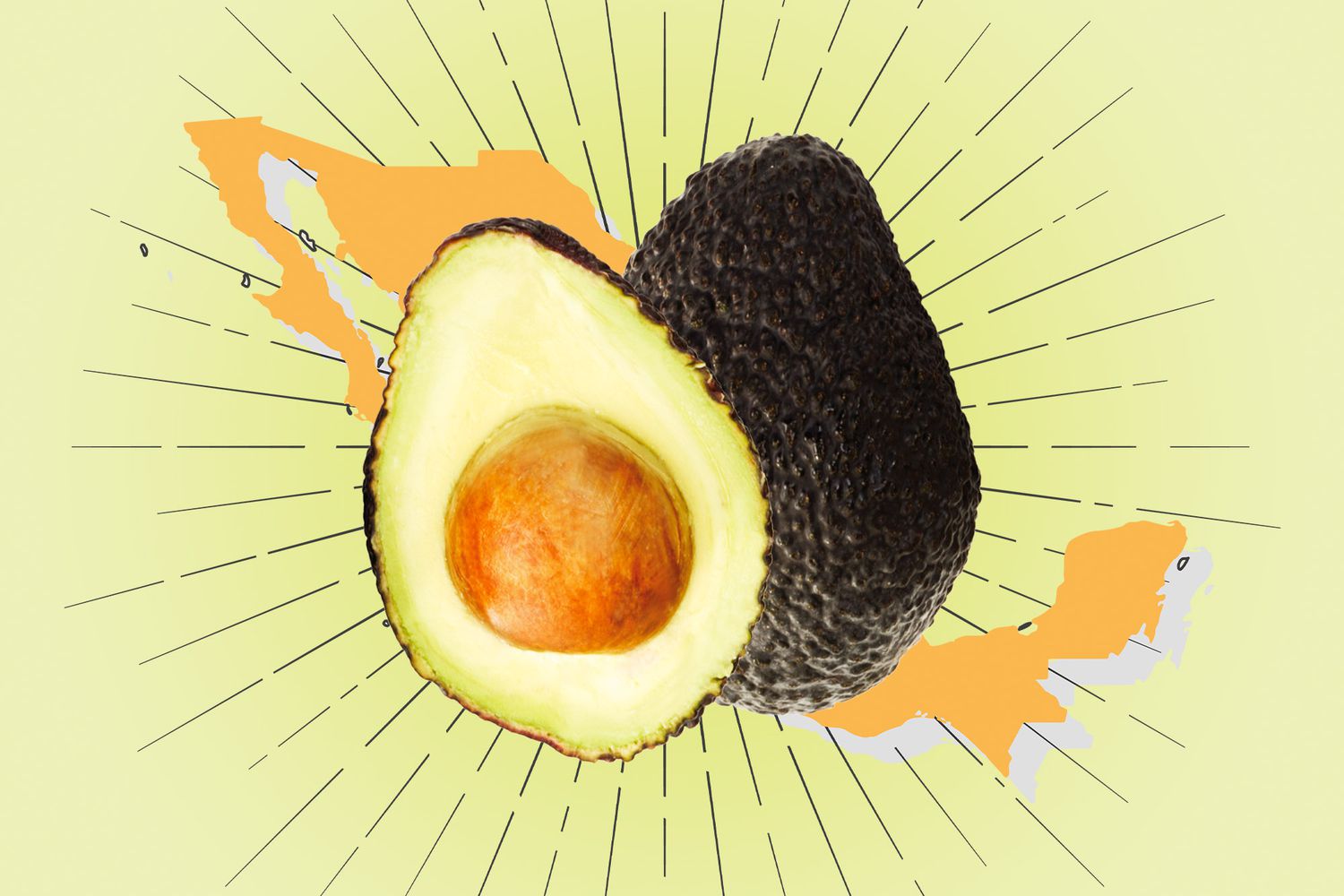 avocado on a designed background that includes Mexico
