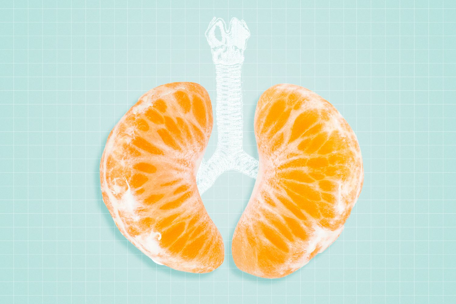 Lungs made out of orange segments on a designed background