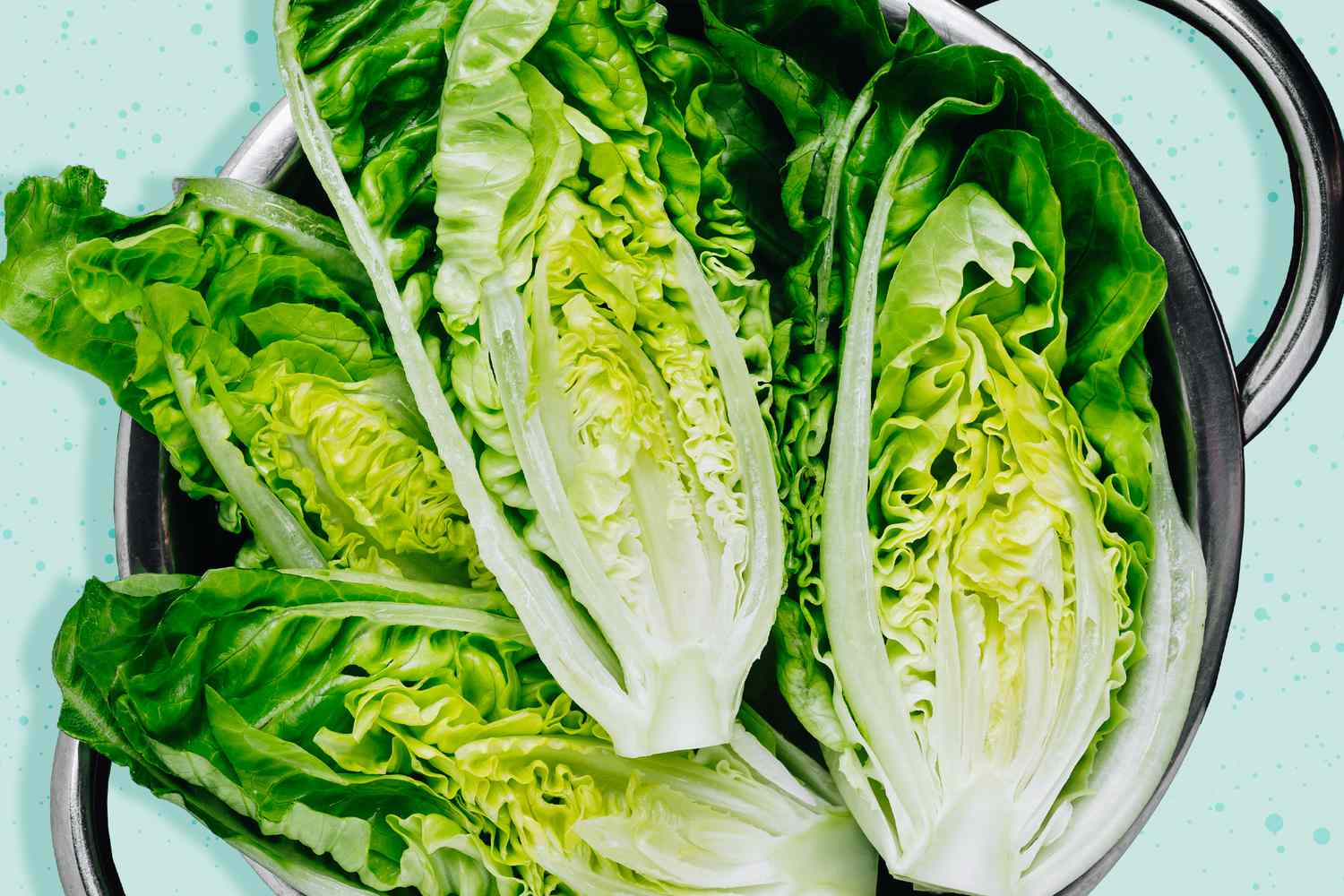 Romain lettuce on a designed background