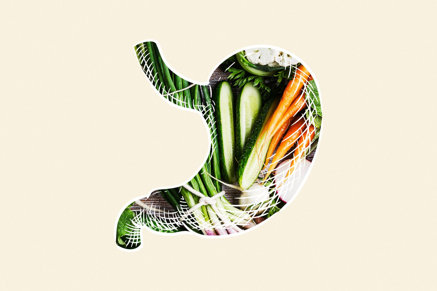 an illustration of a stomach full of fresh vegetables