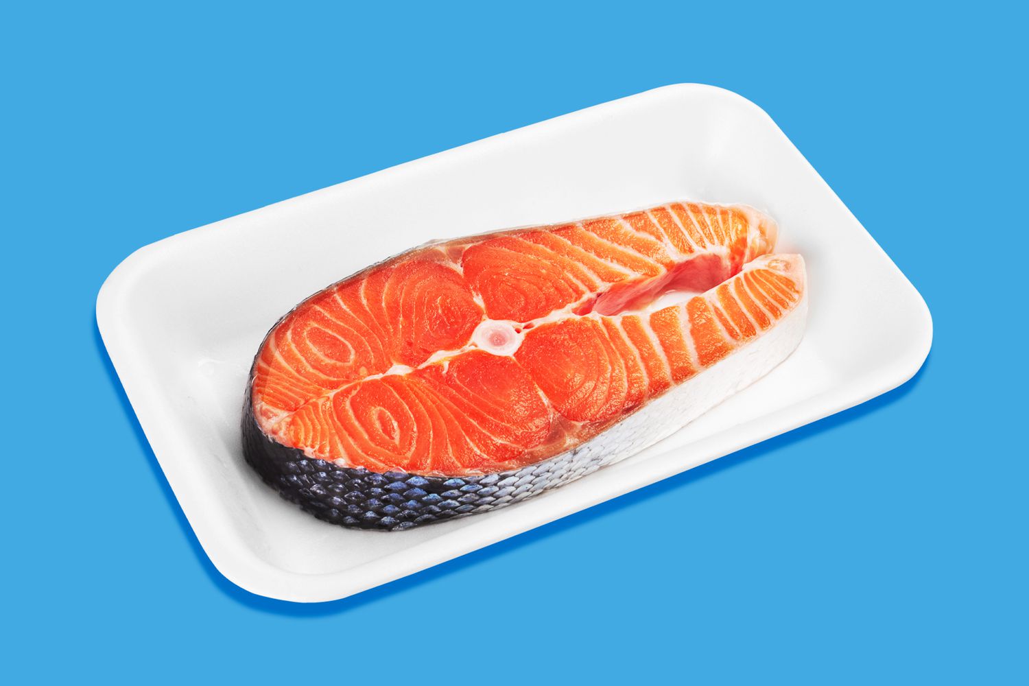 A salmon steak on a blue background