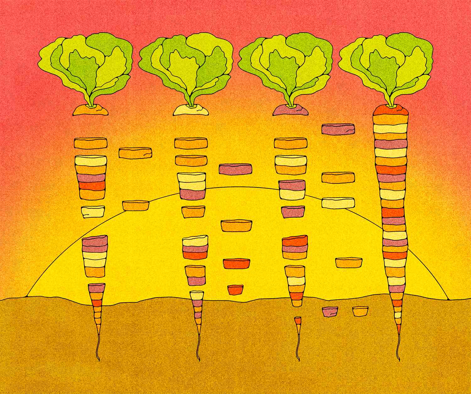 An illustration of multicolored carrots