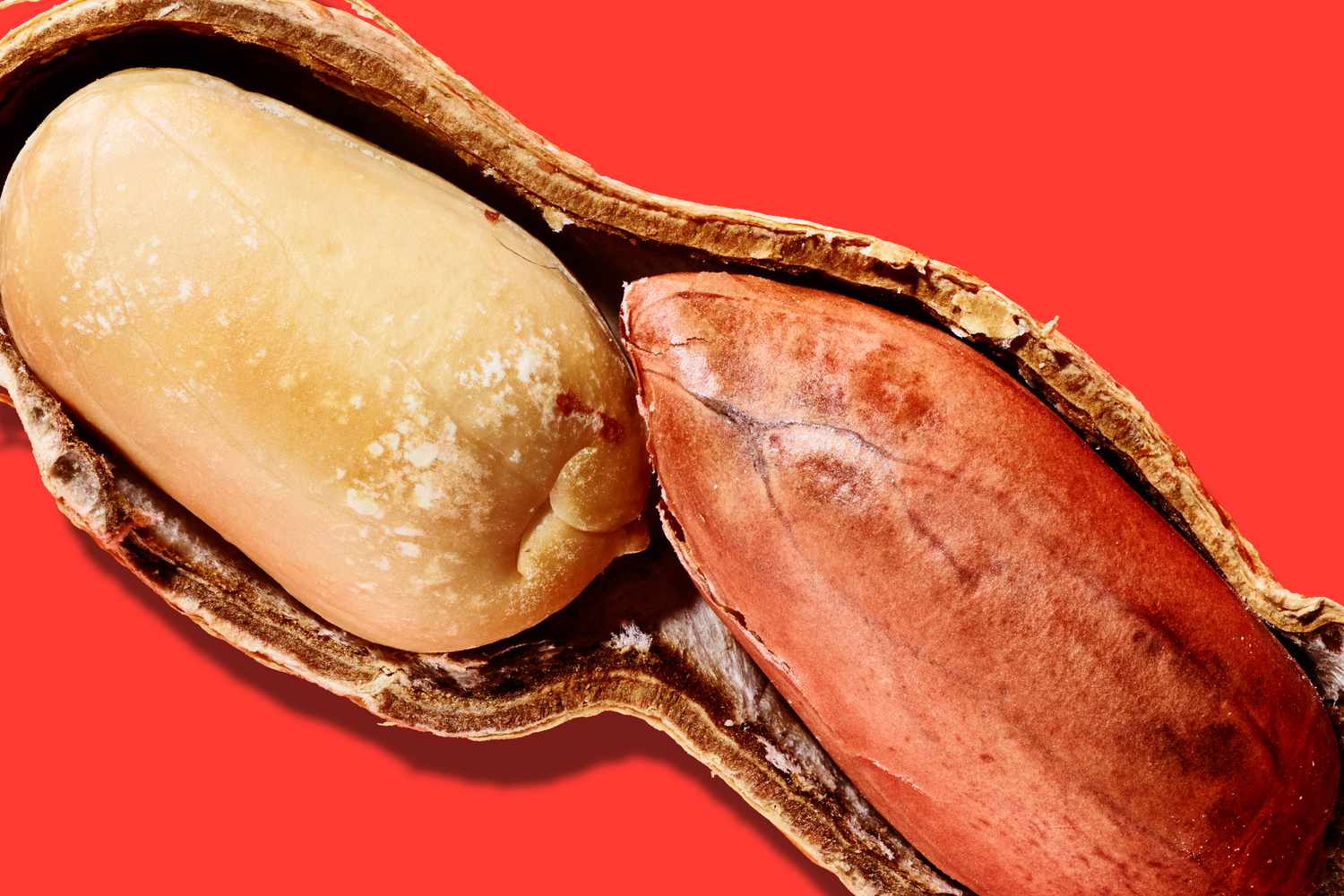 Cacahuètes en coque sur fond rouge