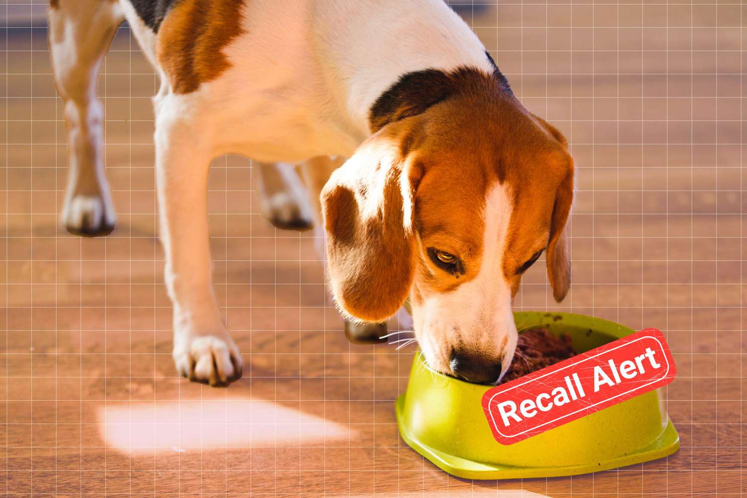 dog eating from a dog food bowl with a Recall Alert sign on it, on designed background