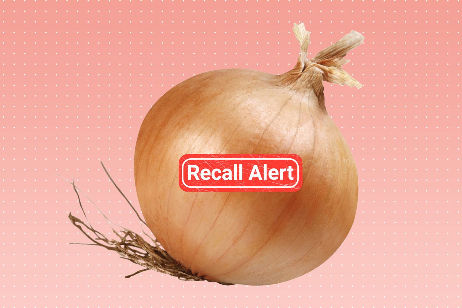onion on a background